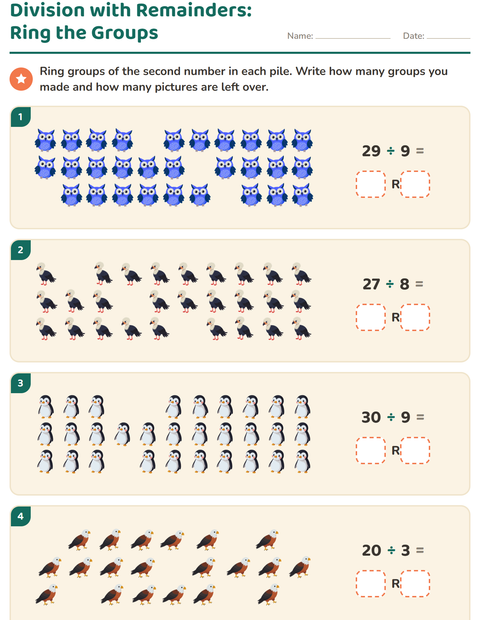 Preview of Division with Remainders worksheet featuring Birds for grade 3
