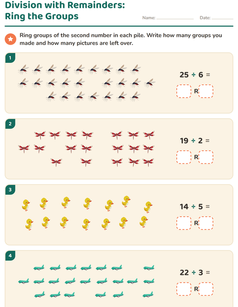 Preview of Division with Remainders worksheet featuring Things That Fly for grade 3