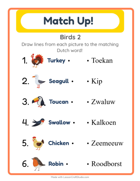 Picture-word match – More Birds