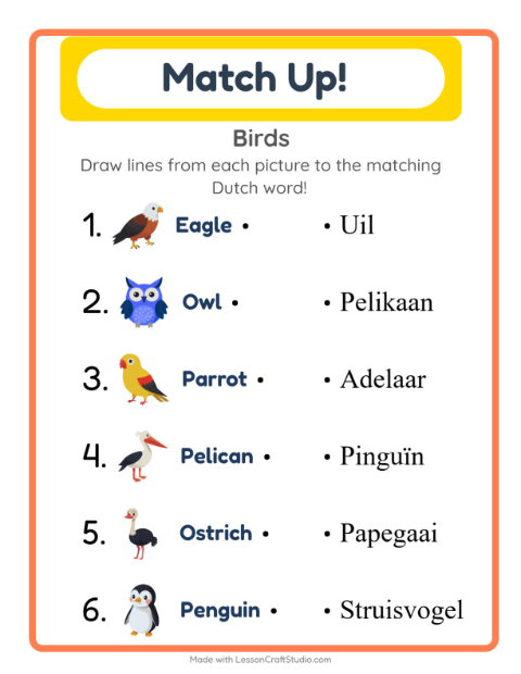 Preview of Learn Dutch: Birds – Picture-Word Match for Kids