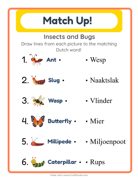 Preview of Learn Dutch: Insects and Bugs – Picture-Word Match for Kids