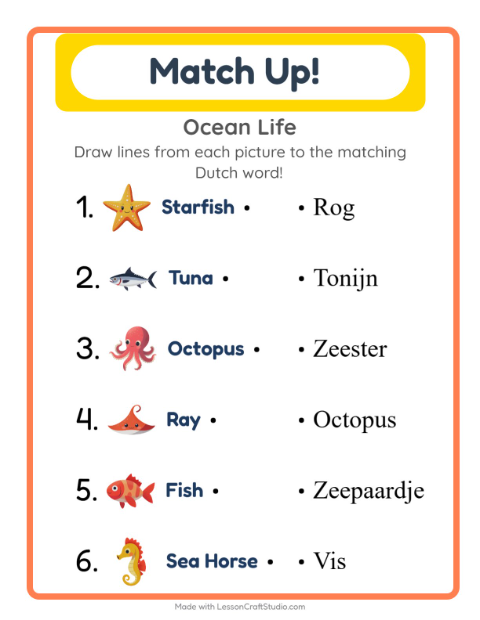 Picture-word match – Ocean Life
