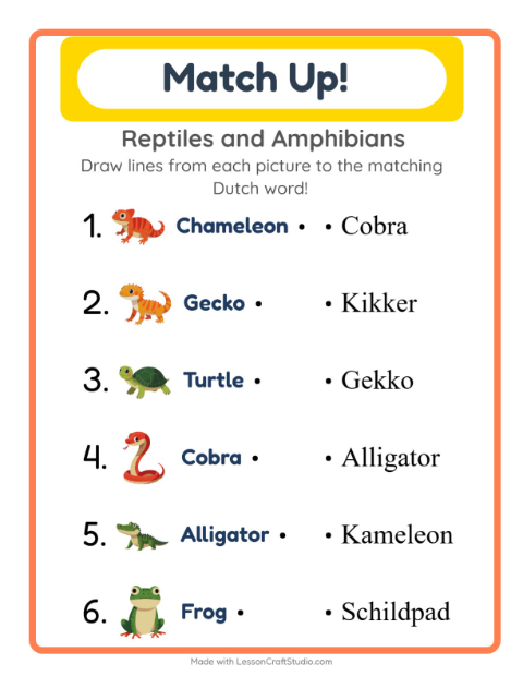 Picture-word match – Reptiles and Amphibians
