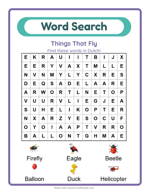 Picture word search – Things That Fly