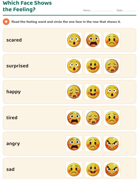 Which Face Shows the Feeling?