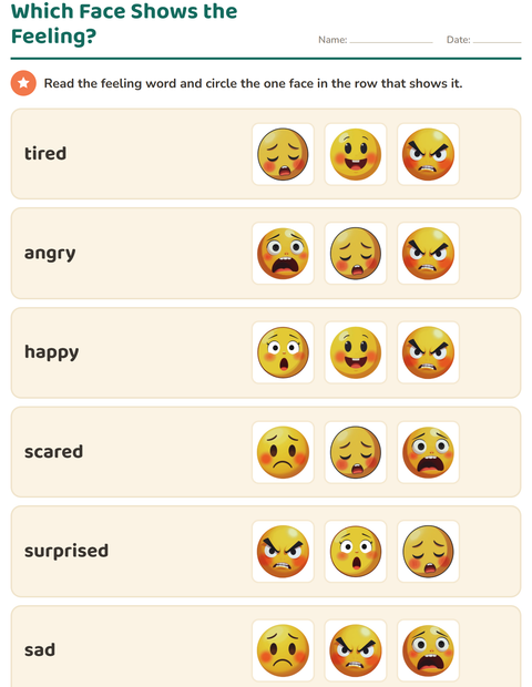 Which Face Shows the Feeling?