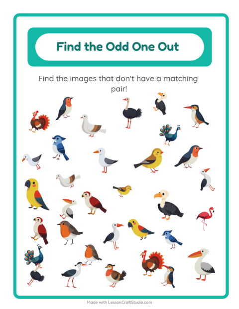 Preview of Find Objects worksheet featuring Birds 2 for kindergarten
