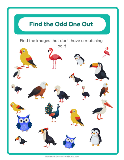 Preview of Find Objects worksheet featuring Birds for kindergarten