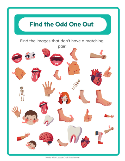 Preview of Find Objects worksheet featuring Body Parts for kindergarten