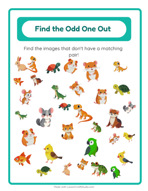 Preview of Find Objects worksheet featuring Pets for kindergarten
