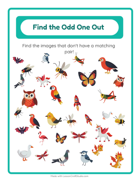 Preview of Find Objects worksheet featuring Things That Fly for kindergarten