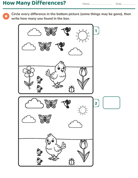 Preview of How Many Differences? Count and Write the Number