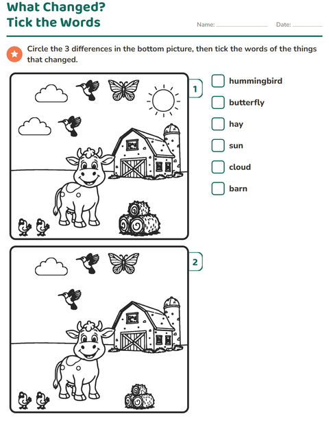 Preview of What Changed? Tick the Words