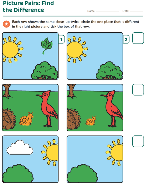 Preview of Find the Differences worksheet for kindergarten