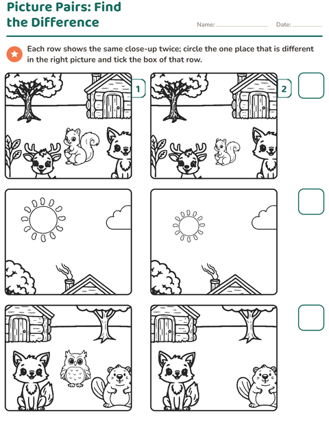 Preview of Find the Differences worksheet for kindergarten