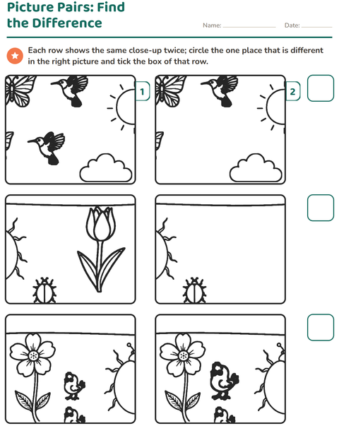 Preview of Find the Differences worksheet for kindergarten