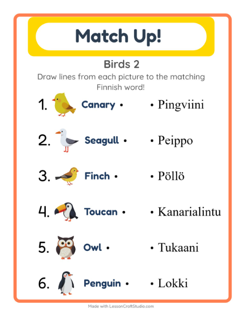 Picture-word match – More Birds