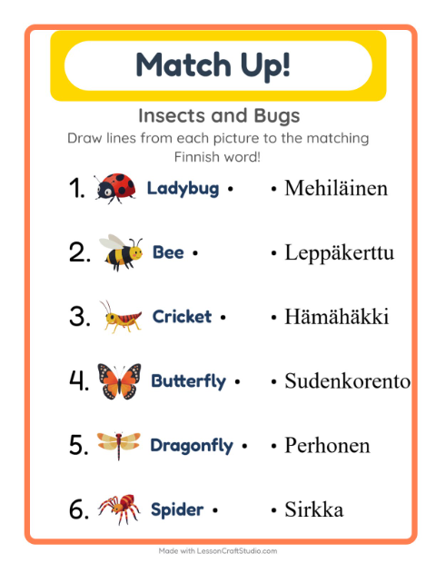 Picture-word match – Insects and Bugs