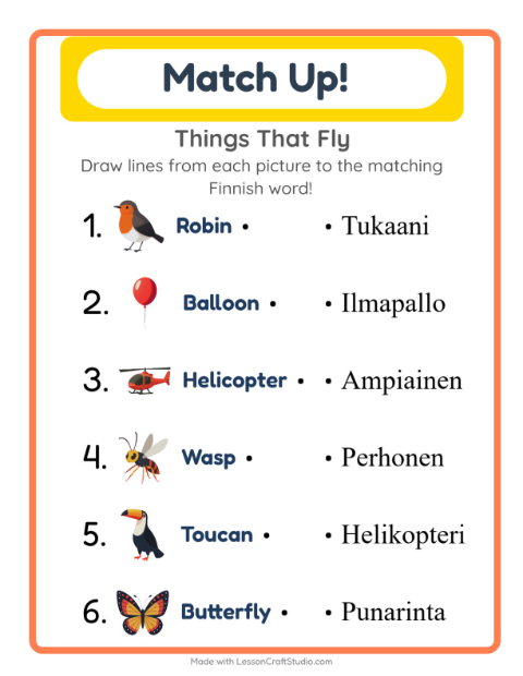 Picture-word match – Things That Fly