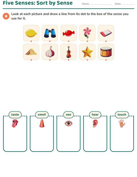 Five Senses: Sort by Sense