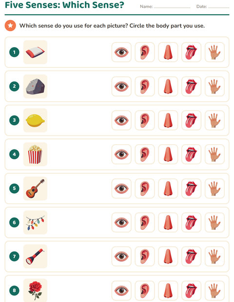 Five Senses: Which Sense?