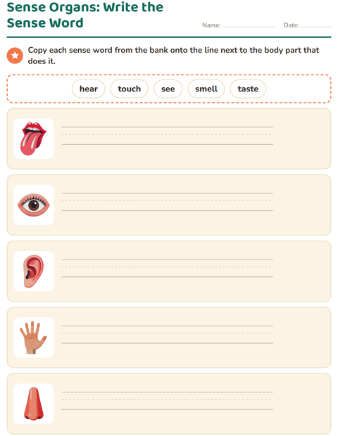 Sense Organs: Write the Sense Word