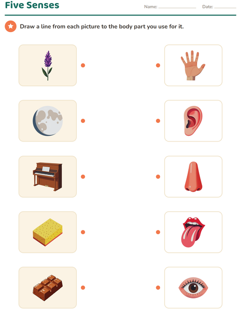 Preview of The Five Senses worksheet for kindergarten