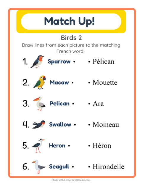 Picture-word match – More Birds