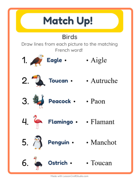 Preview of Learn French: Birds – Picture-Word Match for Kids