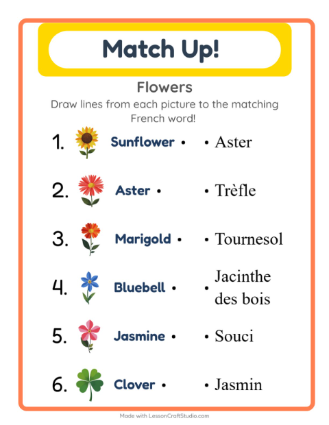 Picture-word match – Flowers