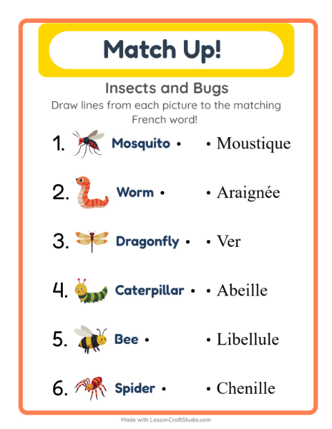 Picture-word match – Insects and Bugs