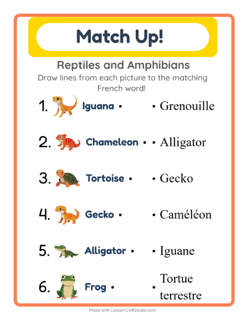 Picture-word match – Reptiles and Amphibians
