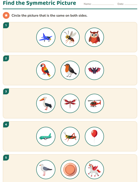 Preview of Geometry worksheet featuring Things That Fly for grade 2