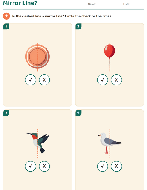 Preview of Geometry worksheet featuring Things That Fly for grade 2