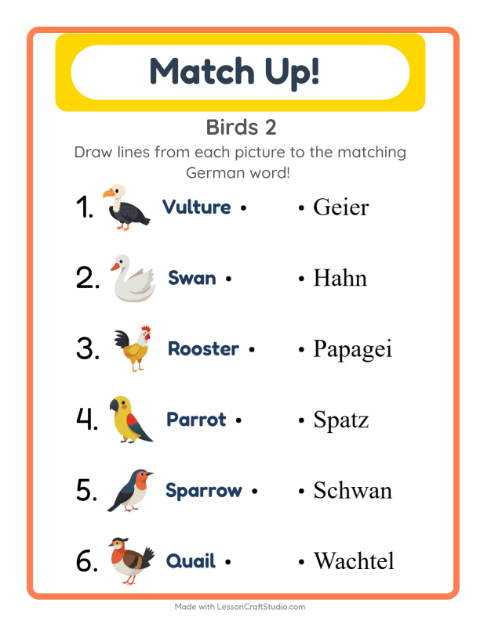 Picture-word match – More Birds