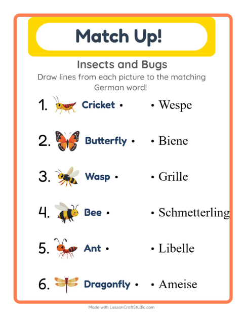 Picture-word match – Insects and Bugs