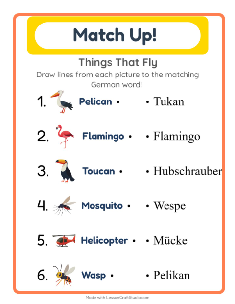 Picture-word match – Things That Fly