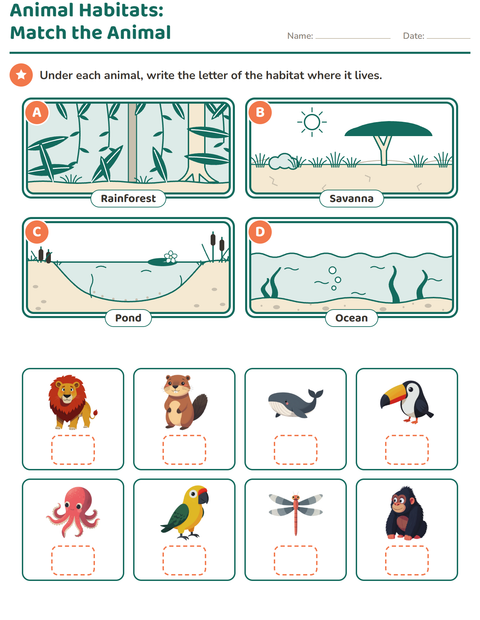 Animal Habitats: Match the Animal