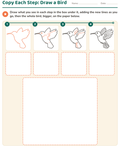 Preview of Copy Each Step: Draw a Bird