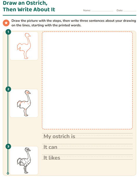 Preview of How to Draw worksheet for grade 2