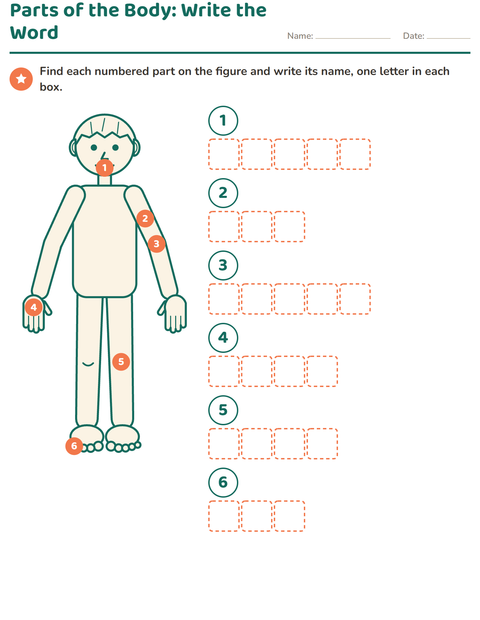 Preview of Parts of the Body worksheet for grade 1
