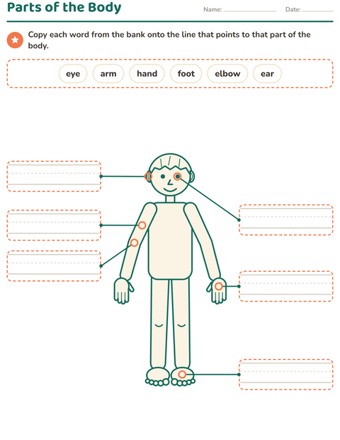 Parts of the Body