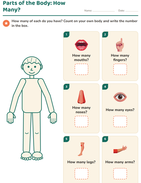 Preview of Parts of the Body: How Many?