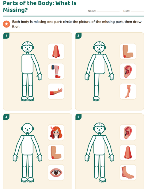 Preview of Parts of the Body worksheet for kindergarten