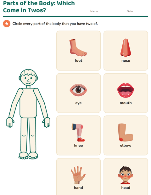 Preview of Parts of the Body worksheet for kindergarten