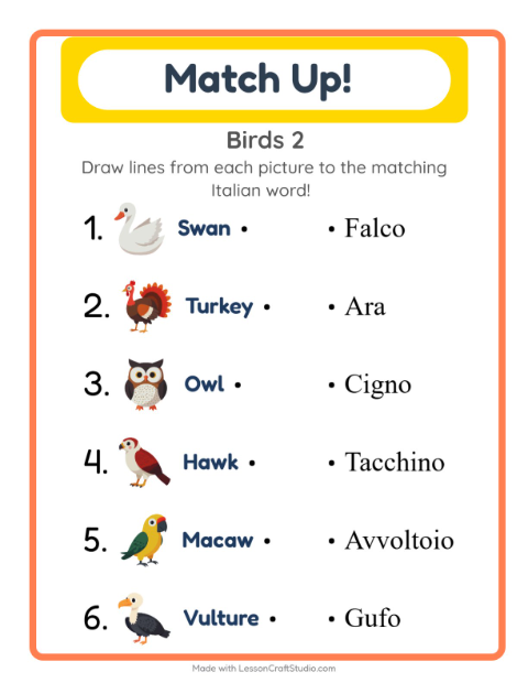 Picture-word match – More Birds