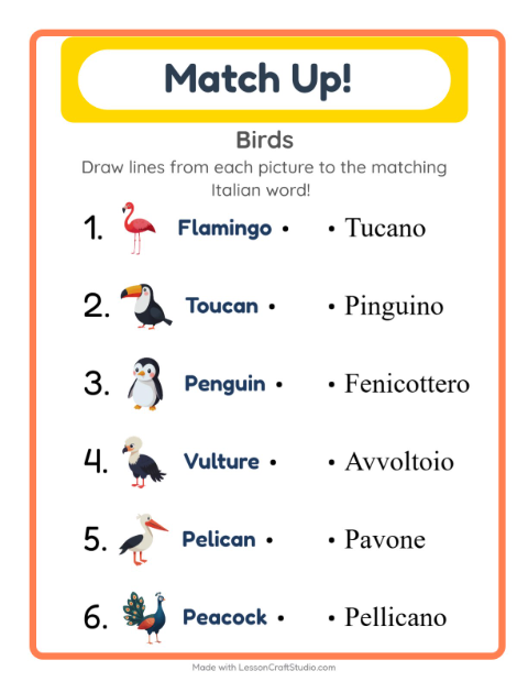 Preview of Learn Italian: Birds – Picture-Word Match for Kids