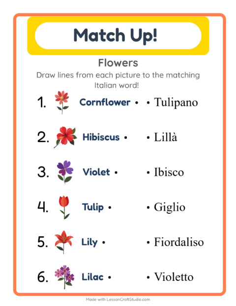 Picture-word match – Flowers