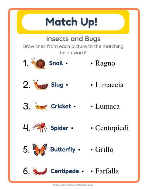 Picture-word match – Insects and Bugs