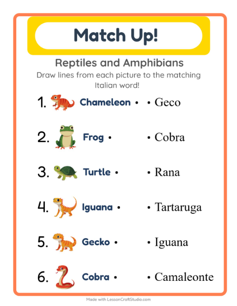 Picture-word match – Reptiles and Amphibians